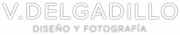 gallery/branding v.delgadillo diseño y fotografia-03